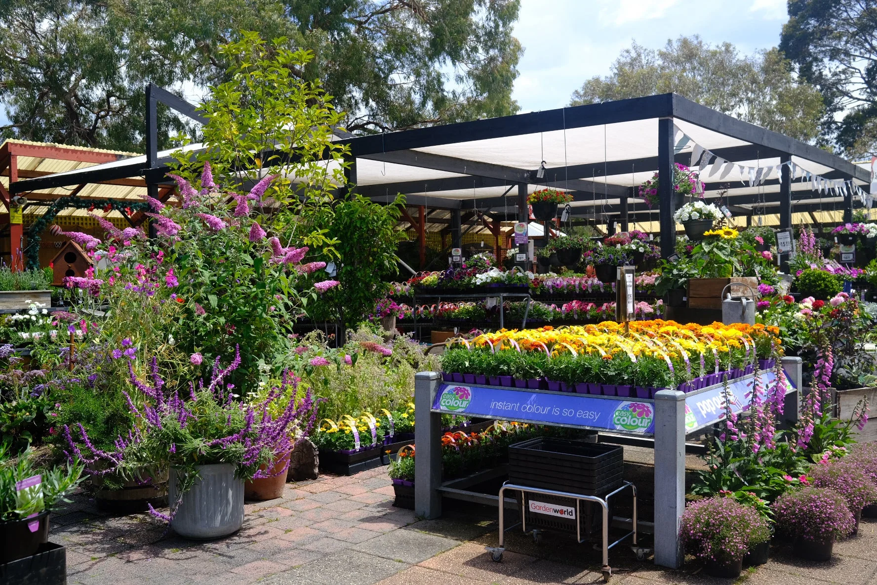 Gardenworld Nursery outdoor plant display with colourful flowers and garden centre in Victoria