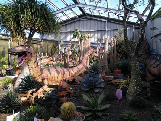 Life-size dinosaur sculpture inside the Gardenworld Nursery greenhouse with cacti and exotic plants in Victoria