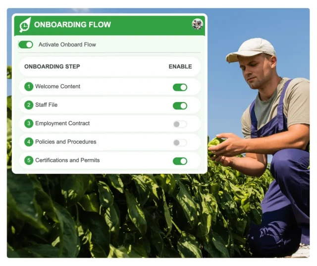 Digital HR document storage interface