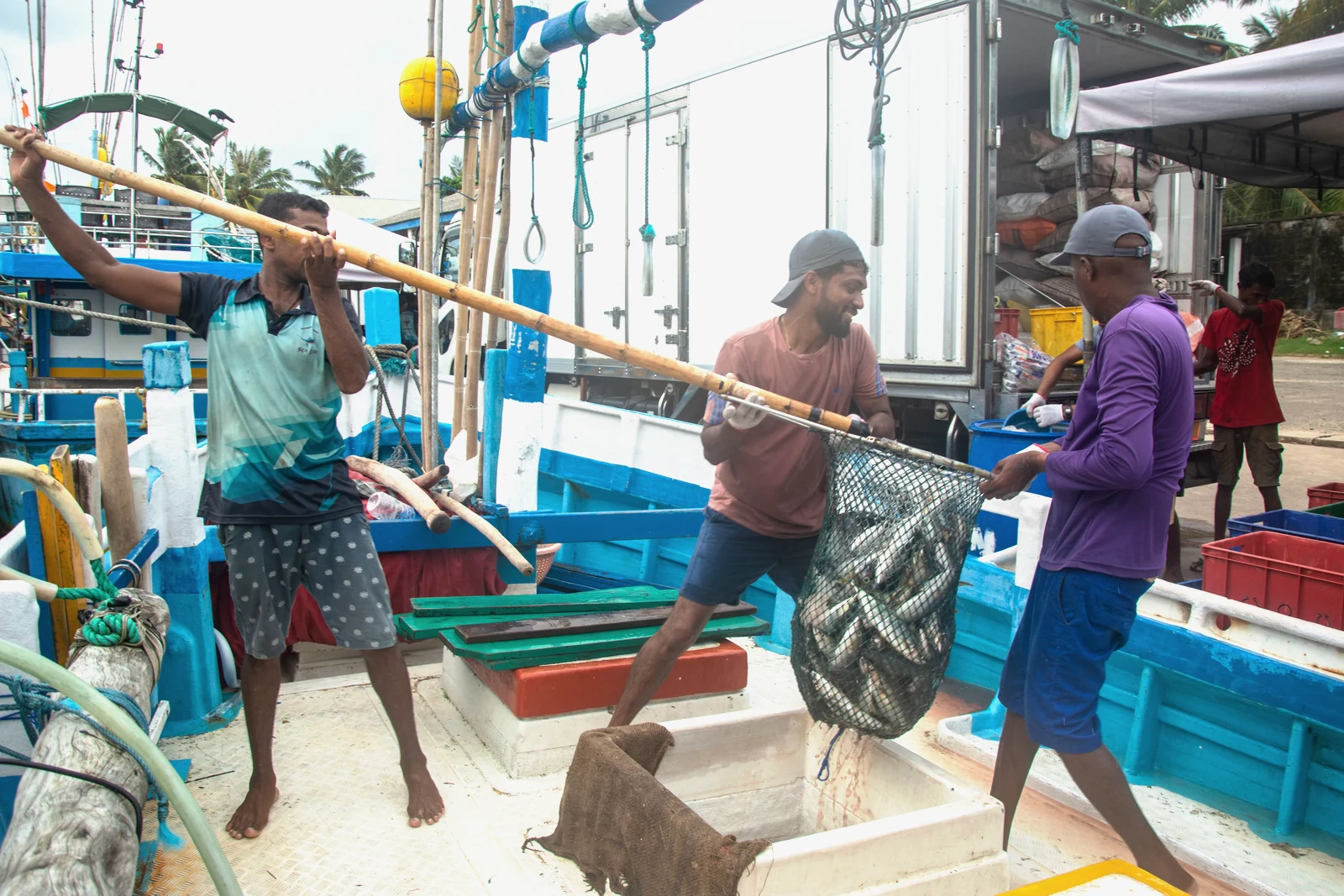 A boat crew unloading the day's catch at the dock