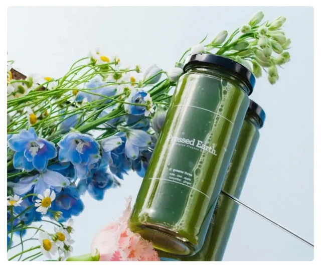 Pressed Earth team and production