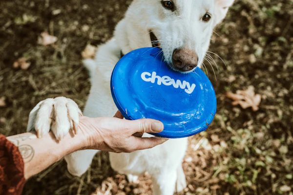 Pet store staff helping customer with animal care advice