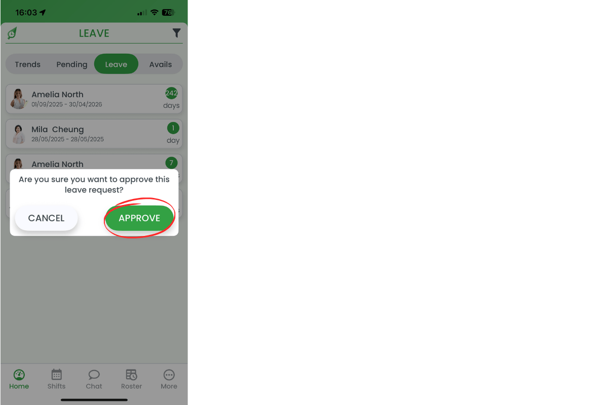 Approval confirmation pop-up with Approve button