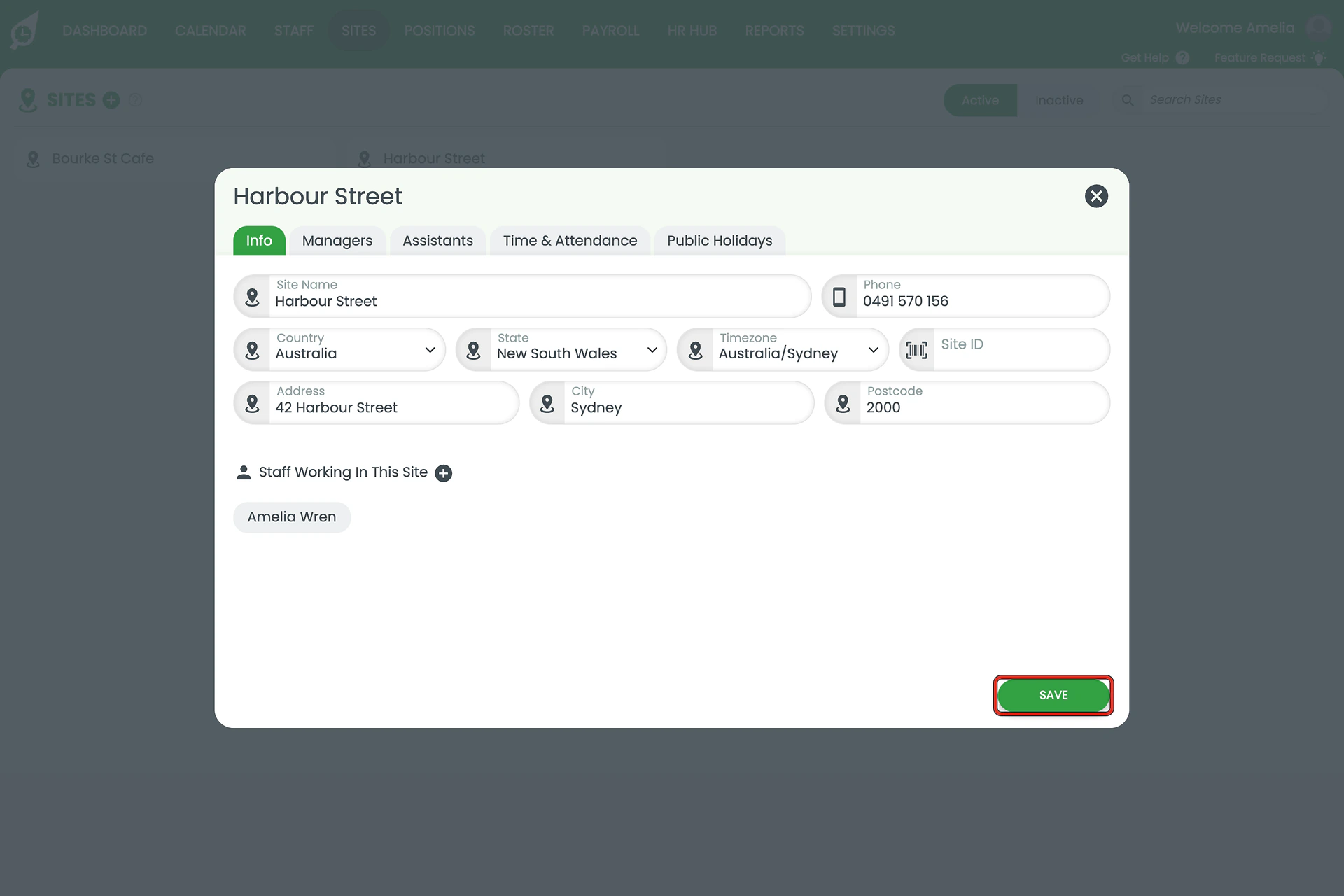Site window with the SAVE button outlined.