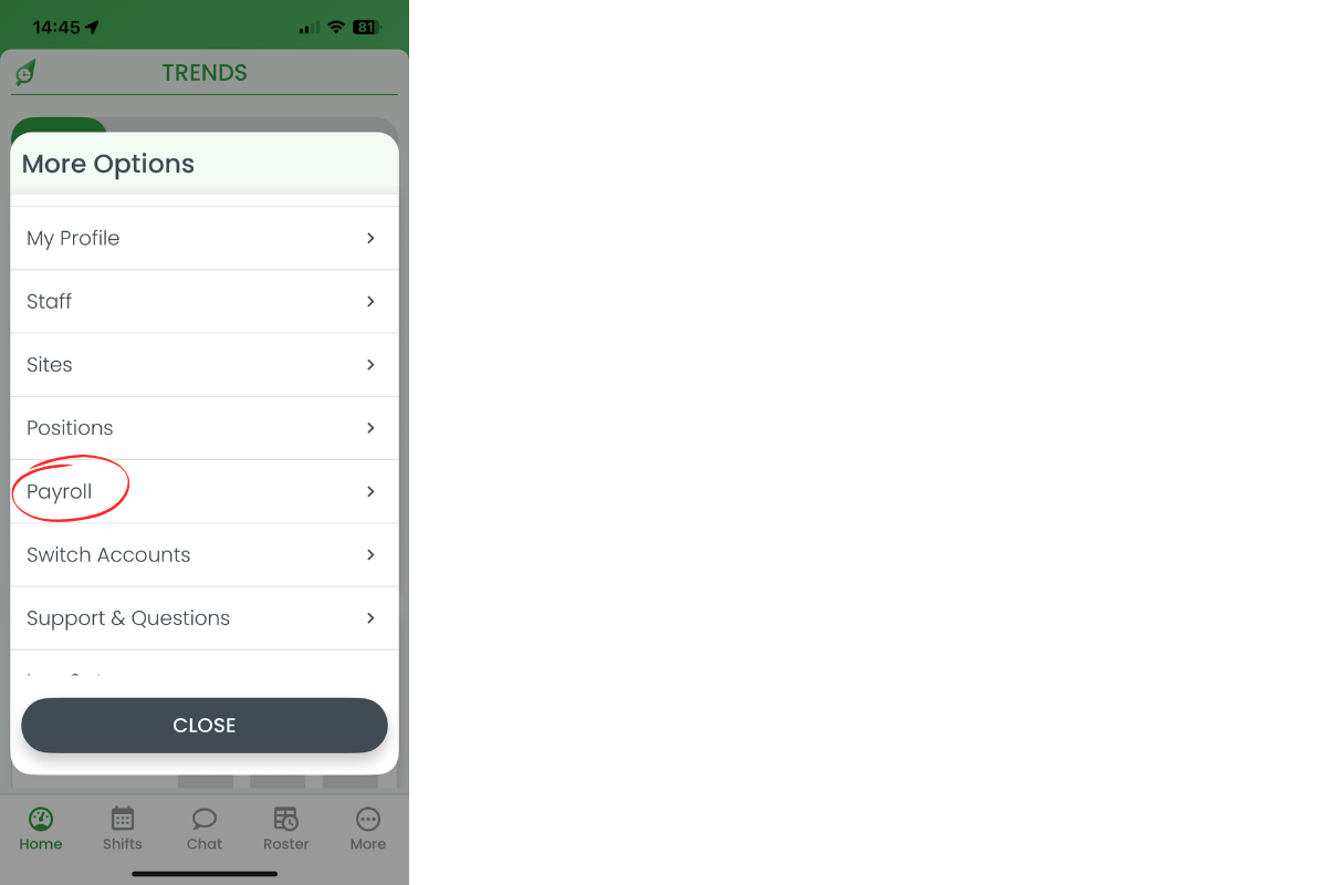Payroll option highlighted in More menu
