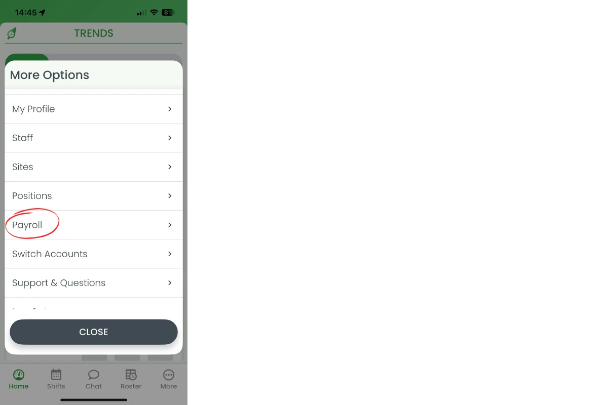 Payroll option highlighted in More menu
