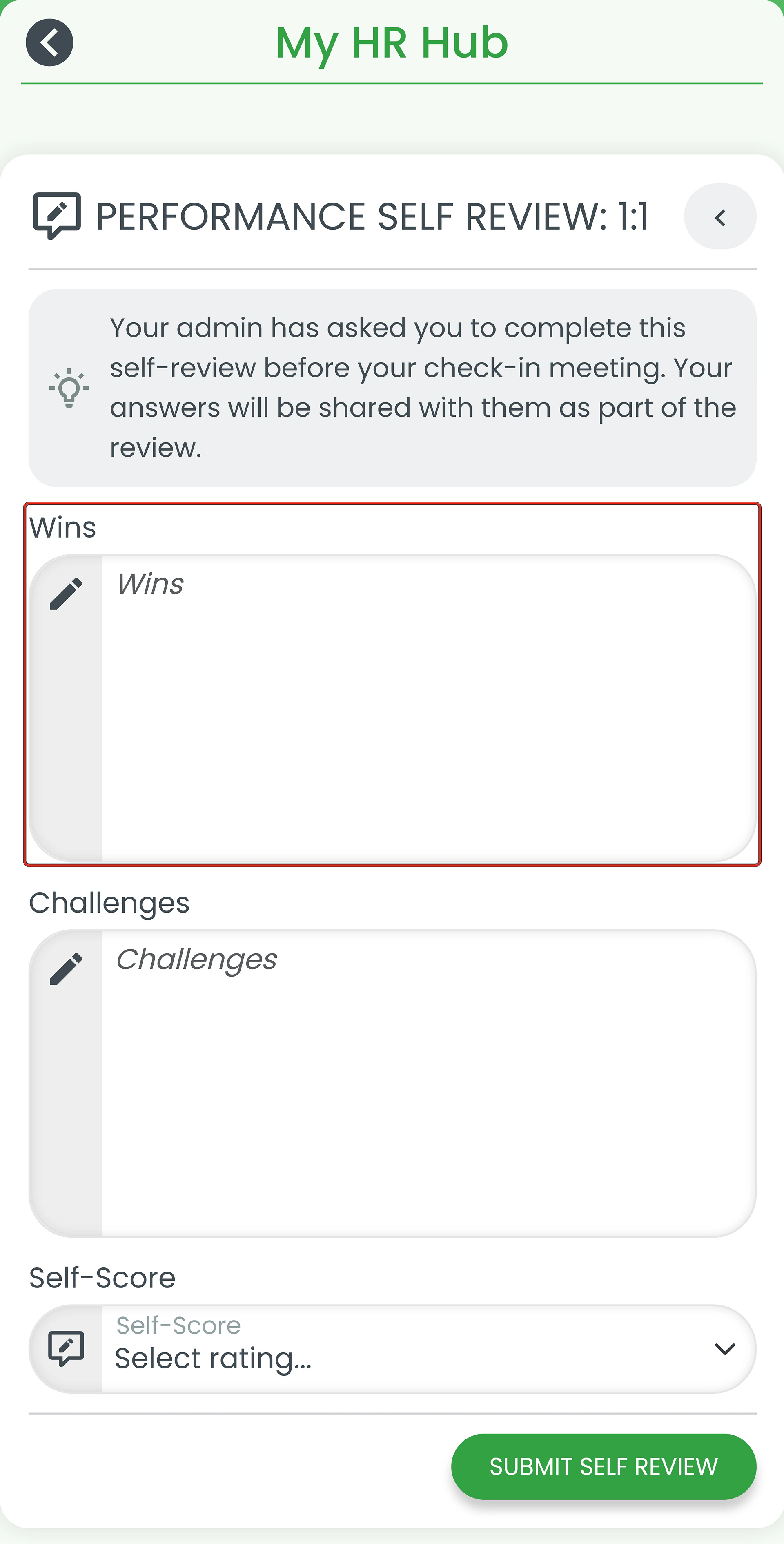 Performance Self Review form with the Wins field ringed