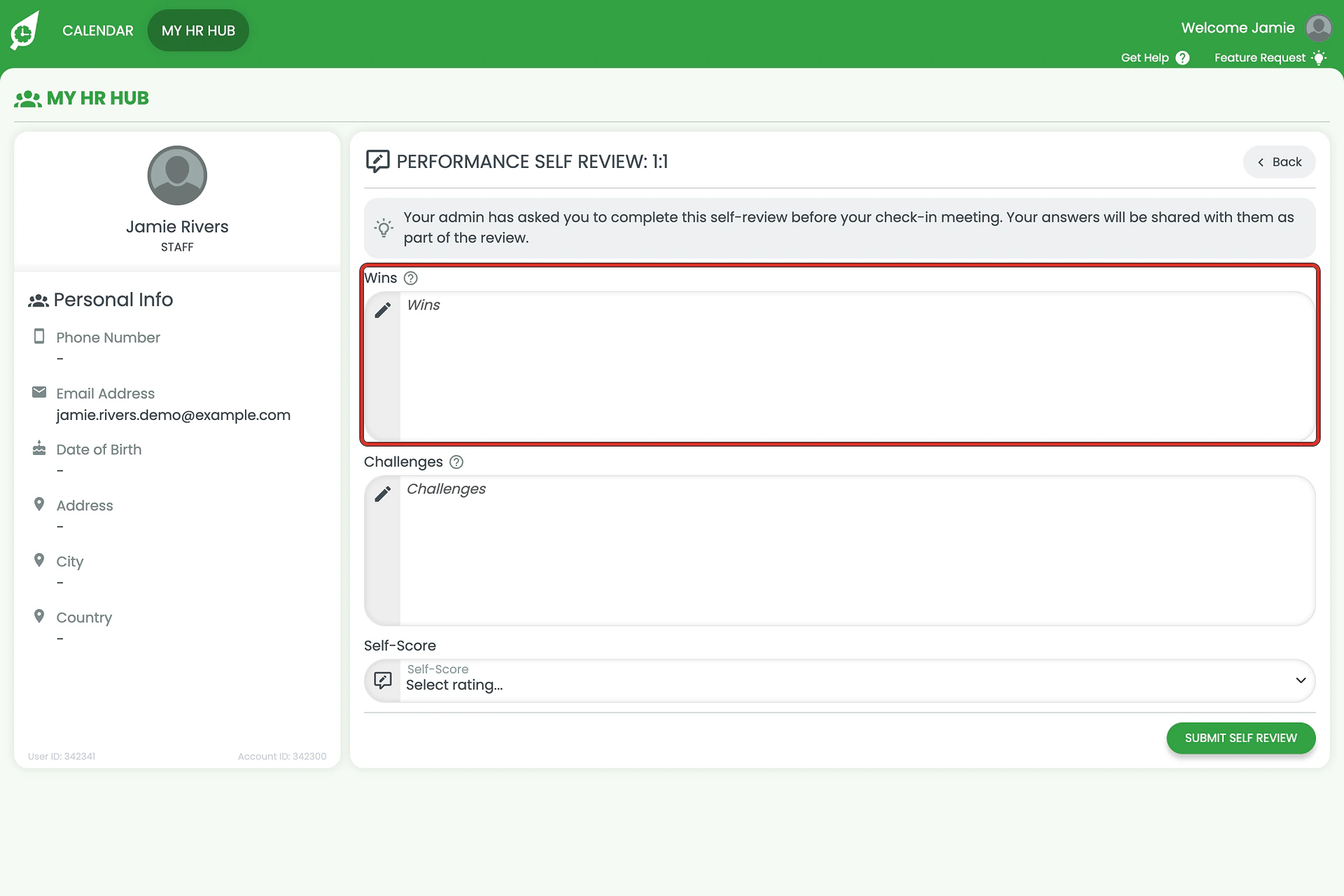 Performance Self Review form with the Wins field ringed