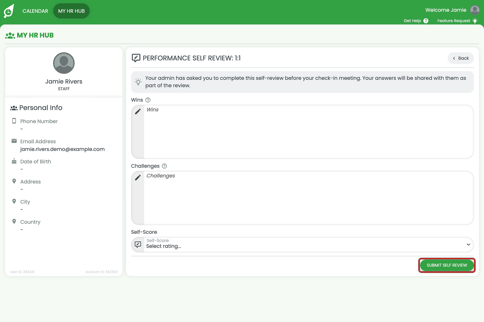 Performance Self Review form with the Submit Self Review button ringed