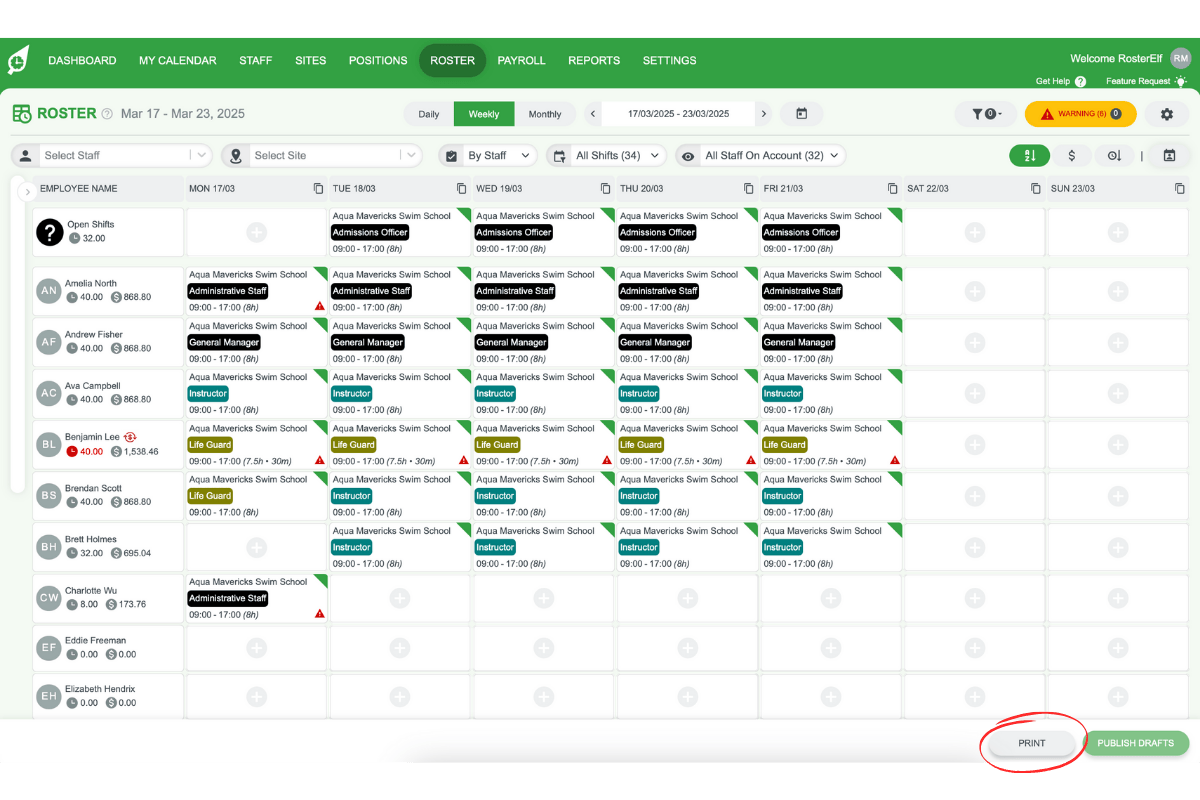 Screenshot highlighting the Print button