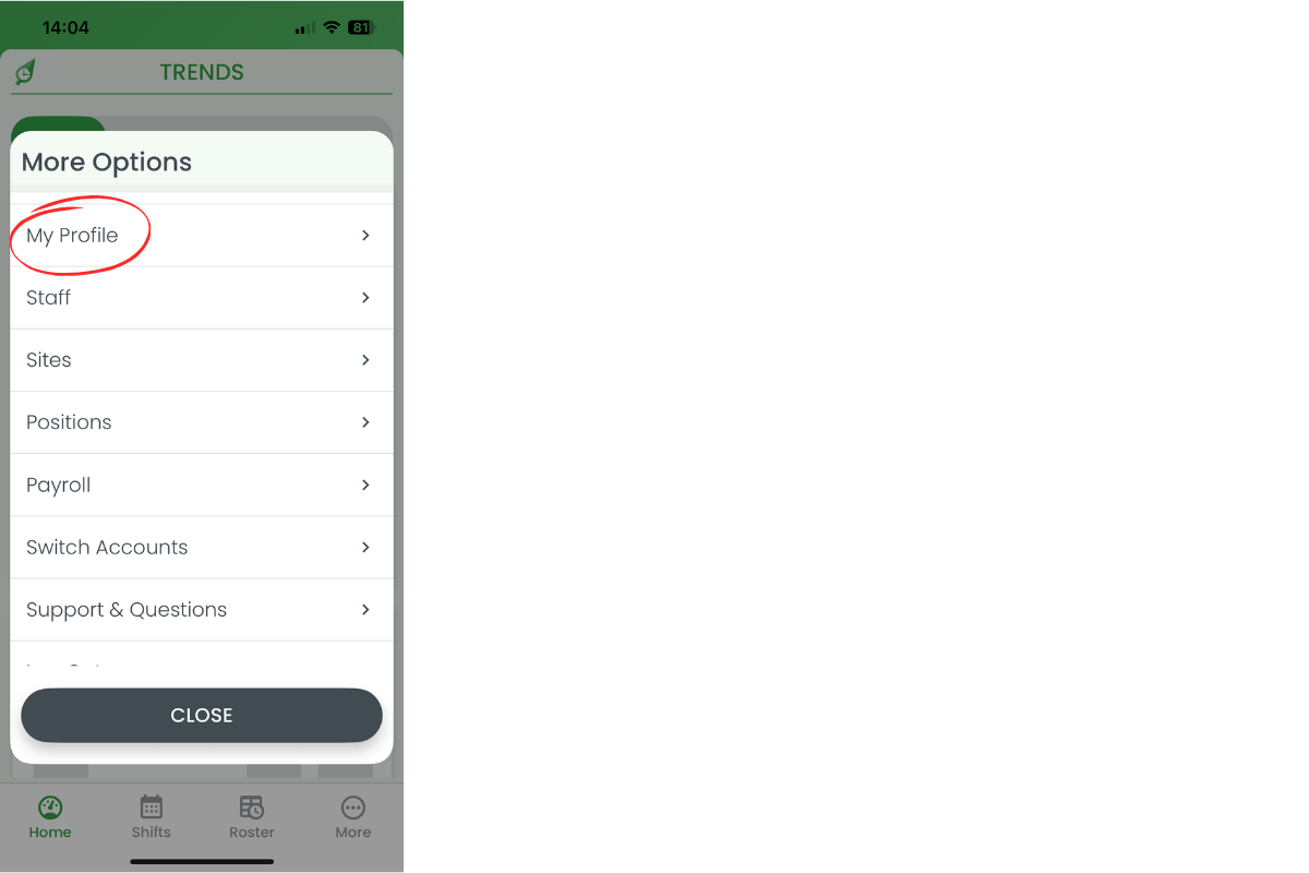 RosterElf app in iOS Settings list