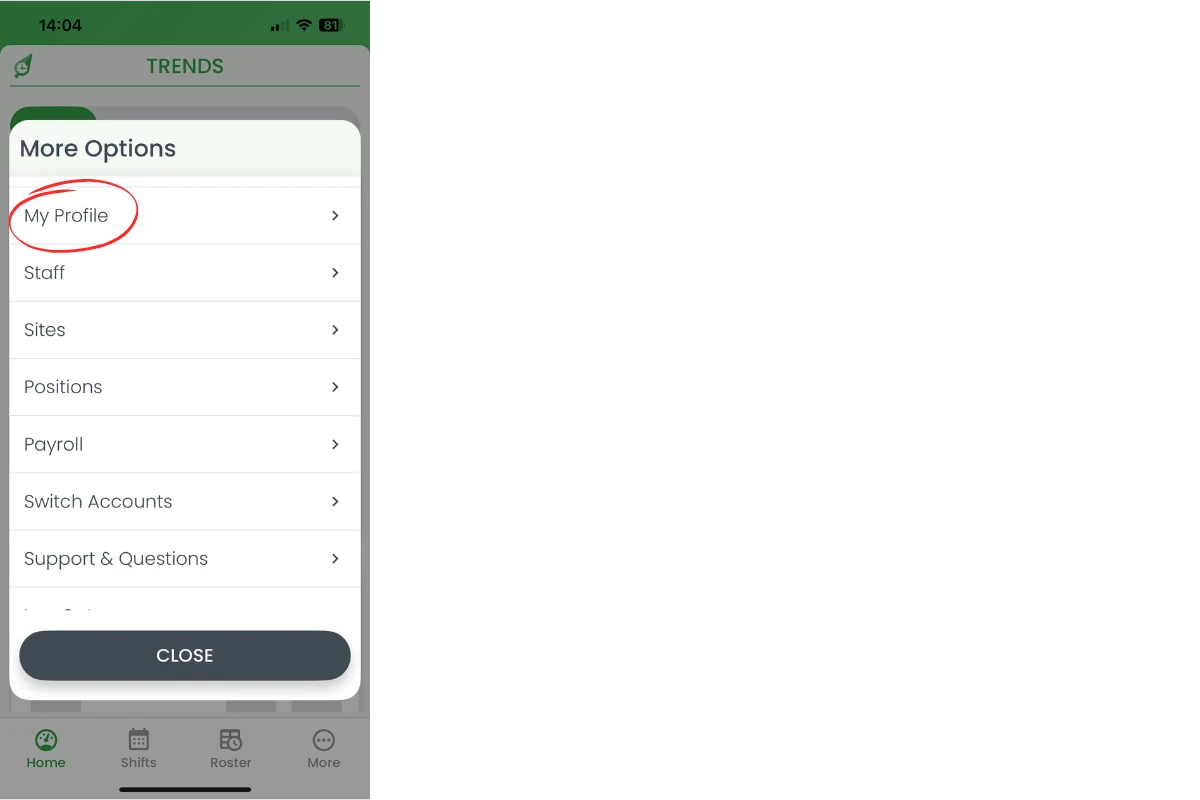 RosterElf app in iOS Settings list