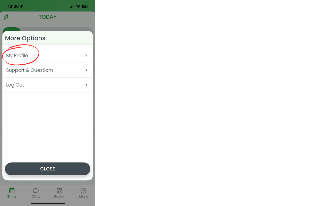 More Options modal with My Profile circled