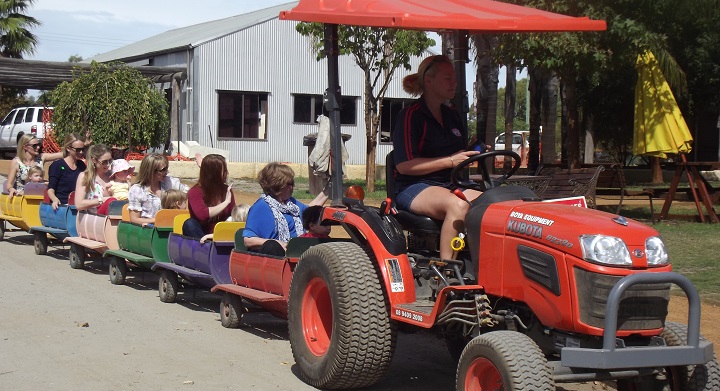 Swan Valley Cuddly Animal Farm carousel and outdoor rides area in Henley Brook Western Australia