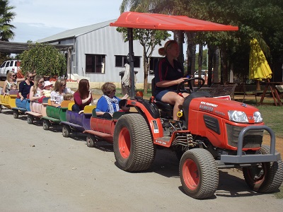 Swan Valley Cuddly Animal Farm